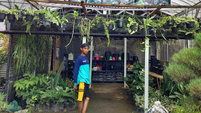 Weekend: Waktunya Permak Taman, Yuk Ke Toko Bunga Taman Surga!