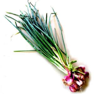 Brambang daun