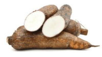 Jenis-ubi-singkong