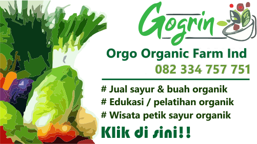Jual sayur organik