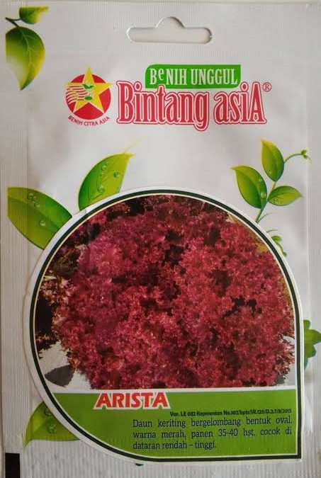 Review Benih Selada Merah Arista Bintang Asia