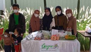 Orgo organic farm indonesia